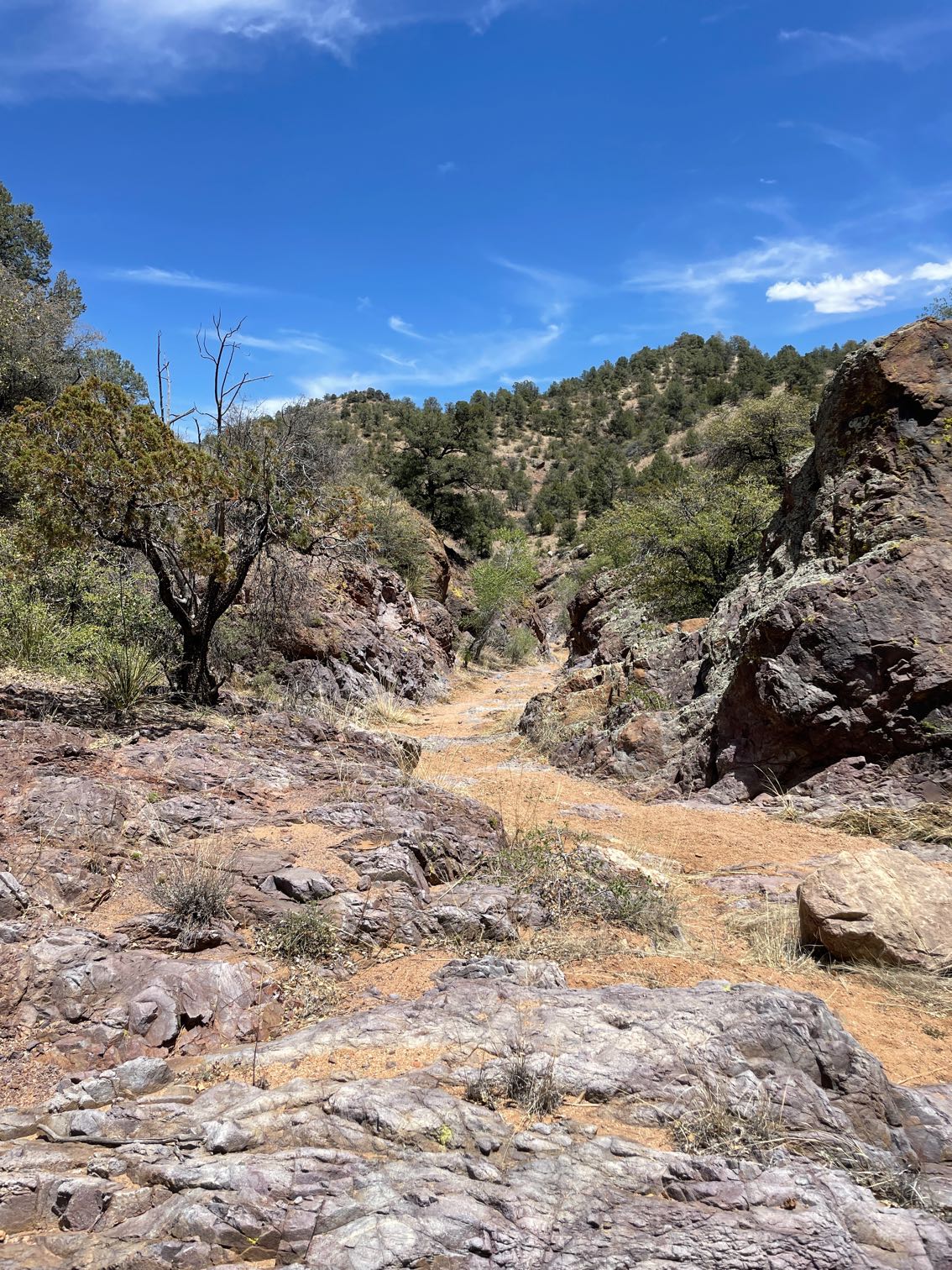 Welcome To Silver City - Continental Divide Trail